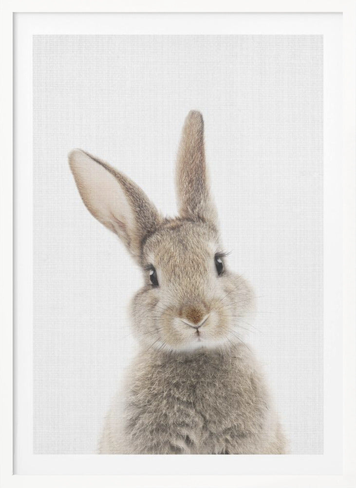 Peekaboo Bunny - Poster / Art Print