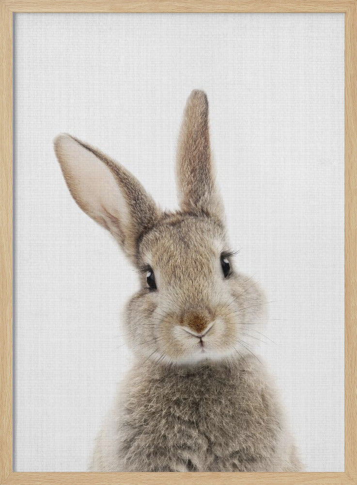 Peekaboo Bunny - Poster / Art Print