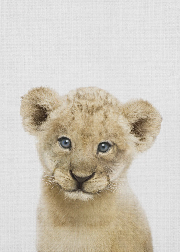 Peekaboo Baby Lion - Poster / Art Print