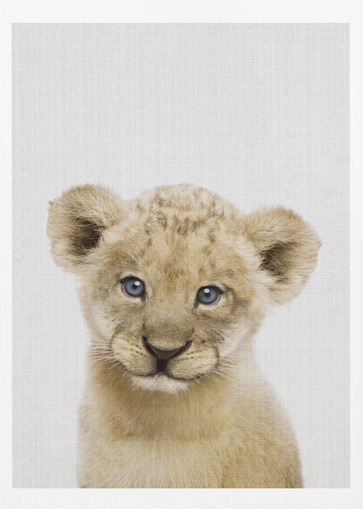 Peekaboo Baby Lion - Poster / Art Print