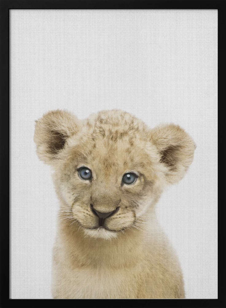 Peekaboo Baby Lion - Poster / Art Print