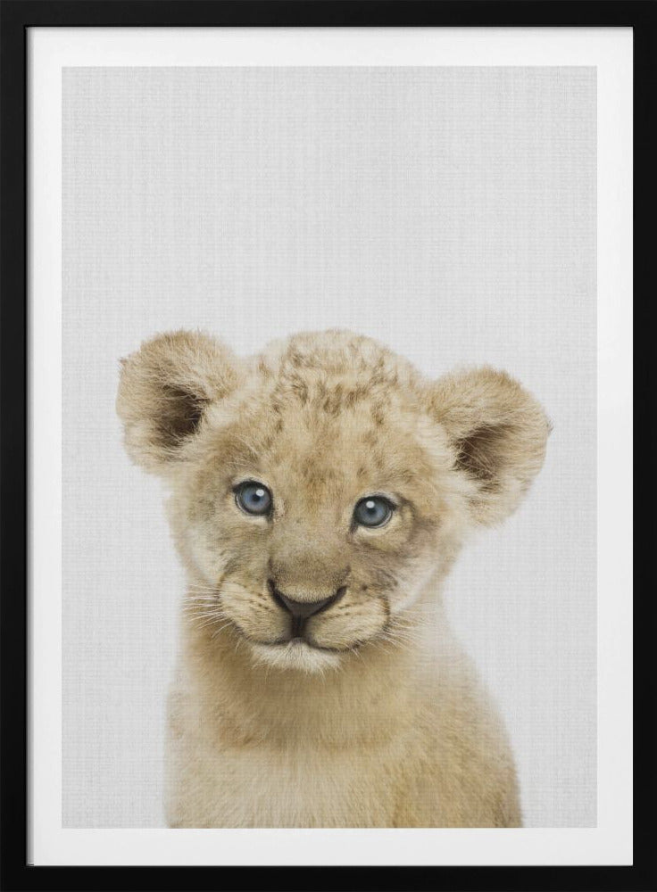 Peekaboo Baby Lion - Poster / Art Print