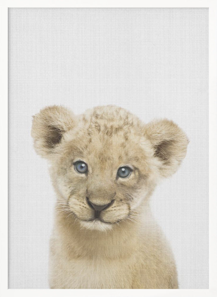 Peekaboo Baby Lion - Poster / Art Print