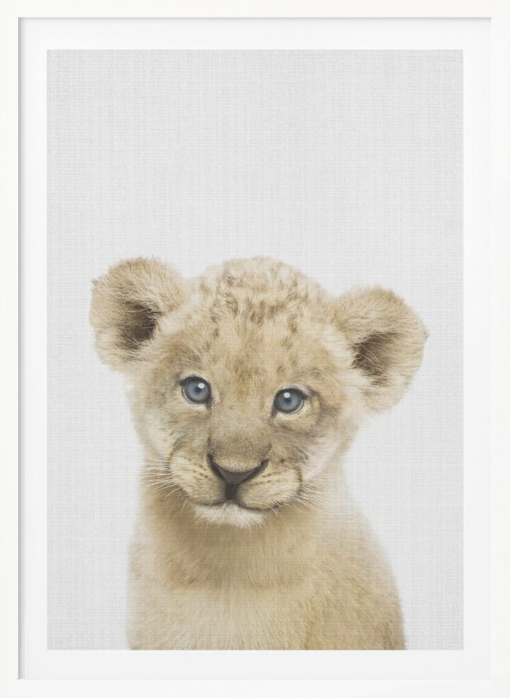 Peekaboo Baby Lion - Poster / Art Print