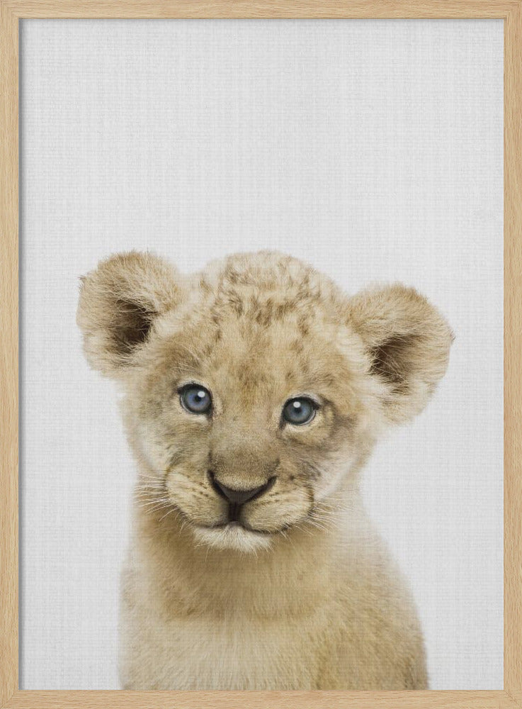 Peekaboo Baby Lion - Poster / Art Print