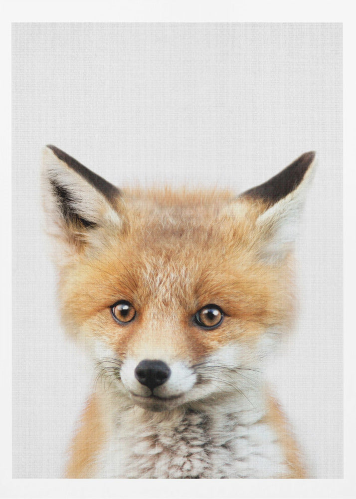 Peekaboo Baby Fox - Poster / Art Print