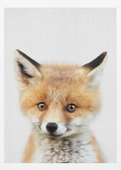 A close-up portrait of a young fox cub looking directly into the camera. The cub has vibrant orange and white fur, large brown eyes, and is set against a simple white textured background, all within a thin black frame. Print