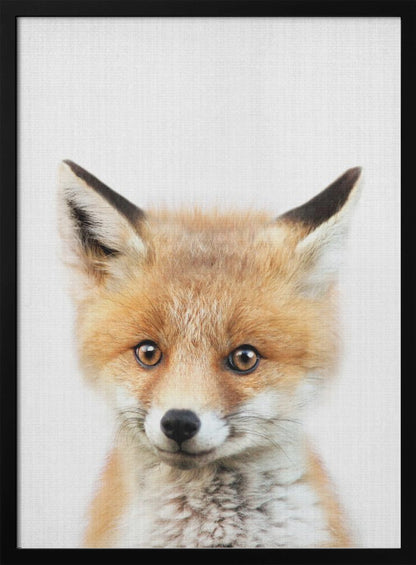 A close-up portrait of a young fox cub looking directly into the camera. The cub has vibrant orange and white fur, large brown eyes, and is set against a simple white textured background, all within a thin black frame. Print