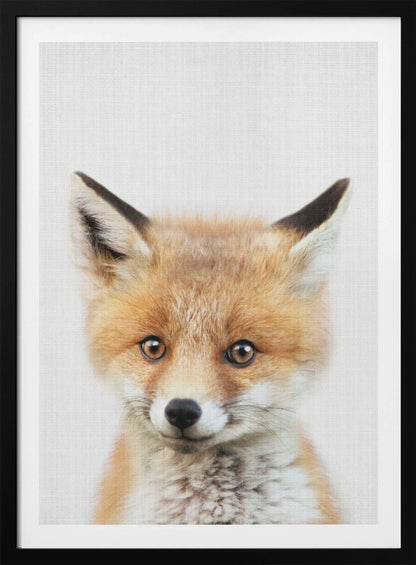 A close-up portrait of a young fox cub looking directly into the camera. The cub has vibrant orange and white fur, large brown eyes, and is set against a simple white textured background, all within a thin black frame. Print