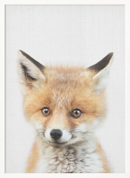 A close-up portrait of a young fox cub looking directly into the camera. The cub has vibrant orange and white fur, large brown eyes, and is set against a simple white textured background, all within a thin black frame. Print