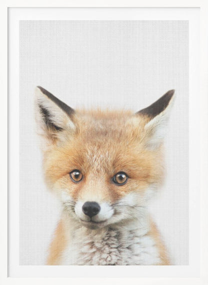 A close-up portrait of a young fox cub looking directly into the camera. The cub has vibrant orange and white fur, large brown eyes, and is set against a simple white textured background, all within a thin black frame. Print