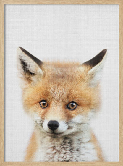 A close-up portrait of a young fox cub looking directly into the camera. The cub has vibrant orange and white fur, large brown eyes, and is set against a simple white textured background, all within a thin black frame. Print