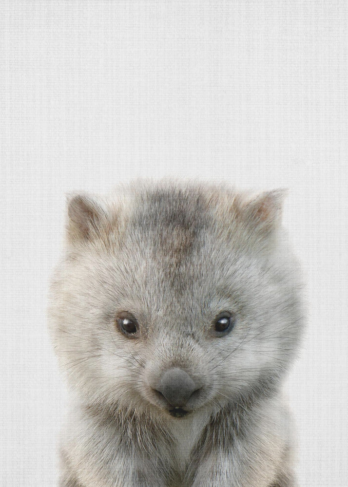 Peekaboo Baby Wombat - Poster / Art Print