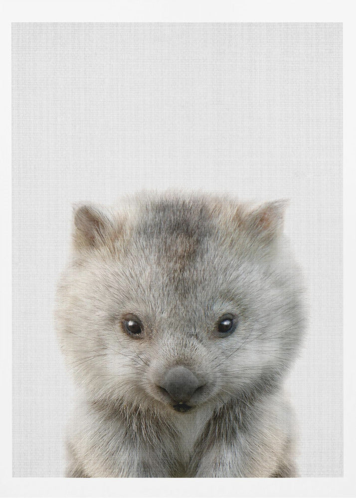 Peekaboo Baby Wombat - Poster / Art Print