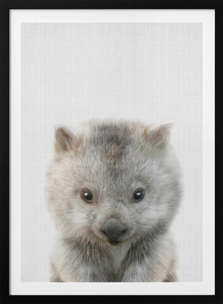 Peekaboo Baby Wombat - Poster / Art Print