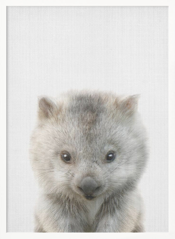 Peekaboo Baby Wombat - Poster / Art Print