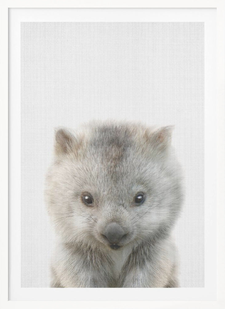 Peekaboo Baby Wombat - Poster / Art Print