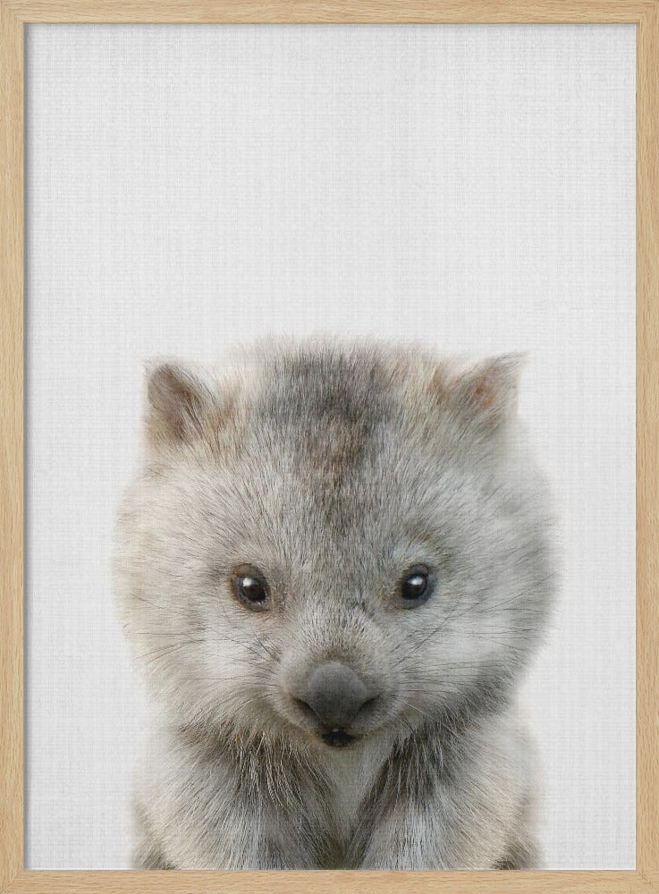 Peekaboo Baby Wombat - Poster / Art Print