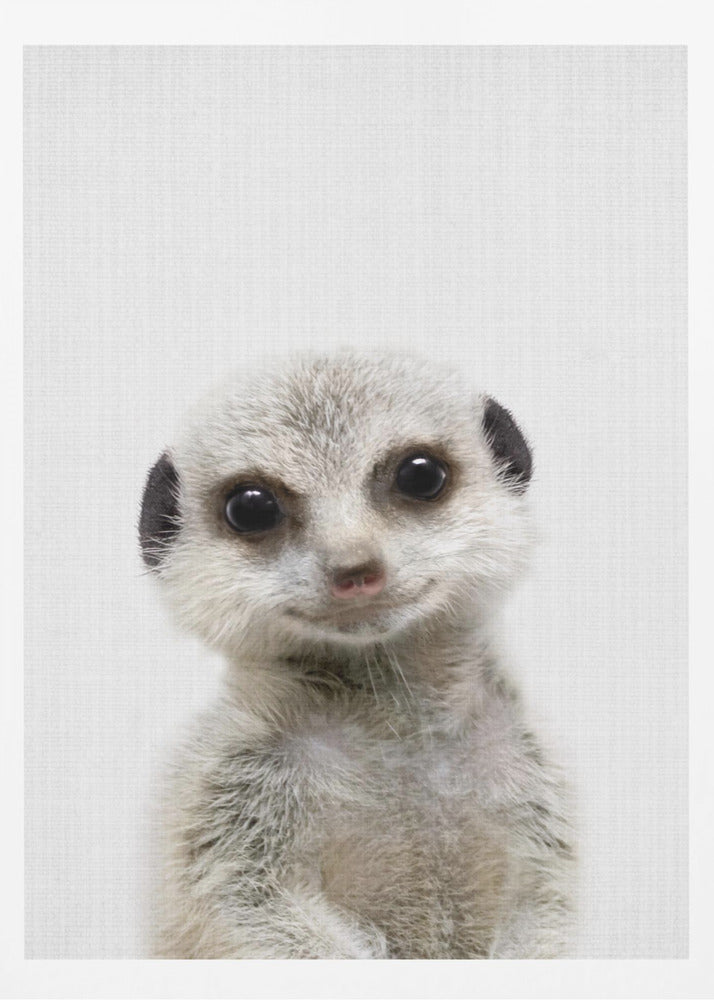 Peekaboo Baby Meerkat - Poster / Art Print