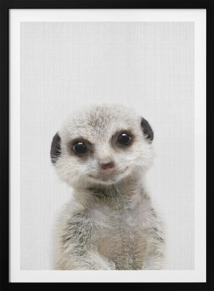 Peekaboo Baby Meerkat - Poster / Art Print