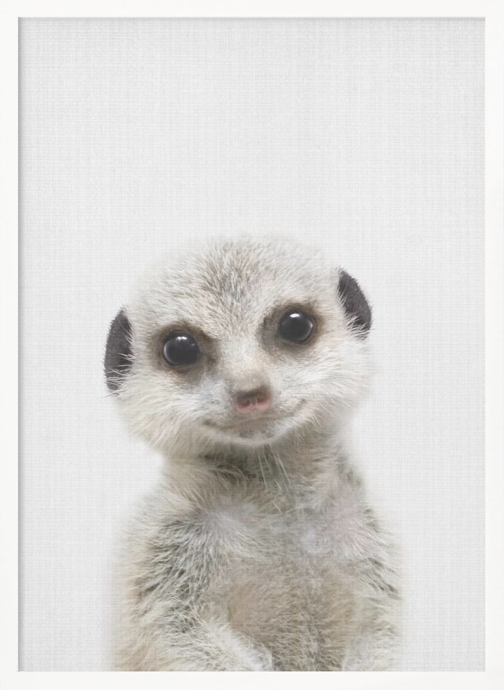 Peekaboo Baby Meerkat - Poster / Art Print