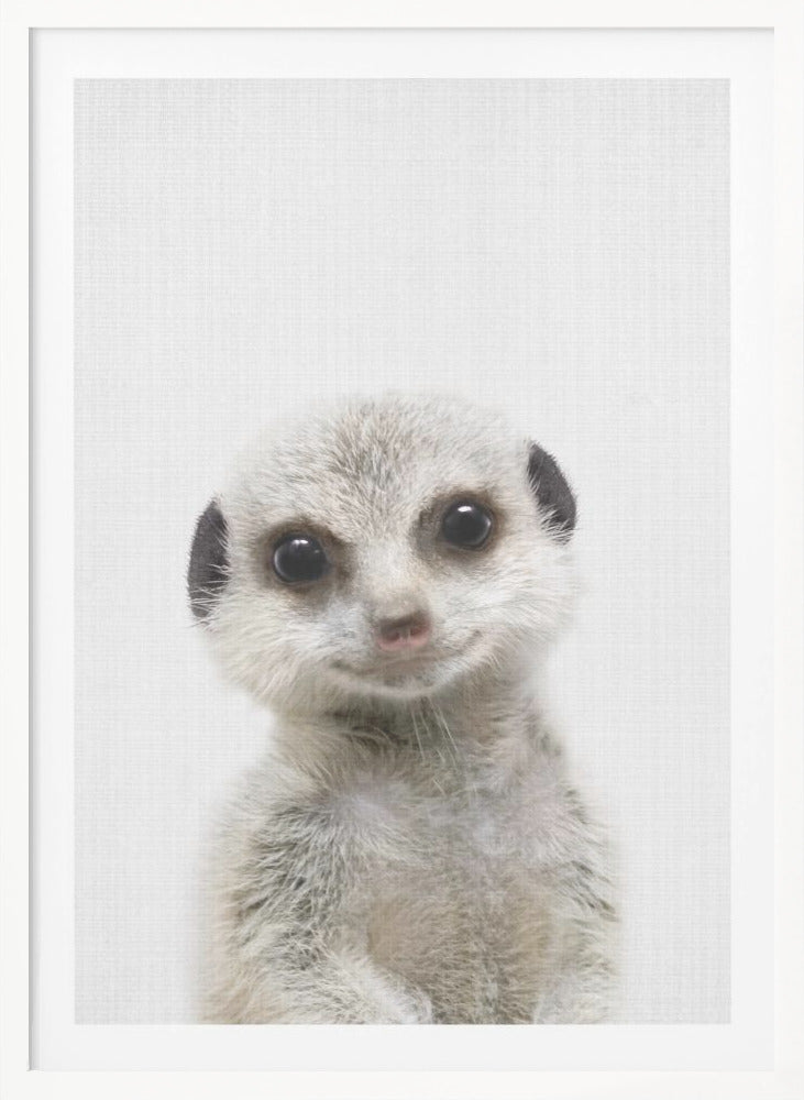 Peekaboo Baby Meerkat - Poster / Art Print