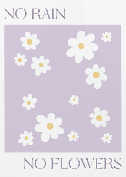 A modern art print with the phrase 'NO RAIN NO FLOWERS' split between the top and bottom. The center features a pattern of white daisies with yellow centers on a light purple background, all framed in black. Artwork