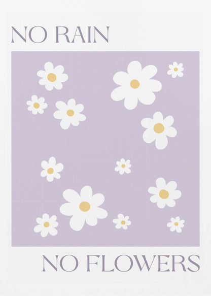 A modern art print with the phrase 'NO RAIN NO FLOWERS' split between the top and bottom. The center features a pattern of white daisies with yellow centers on a light purple background, all framed in black. Artwork
