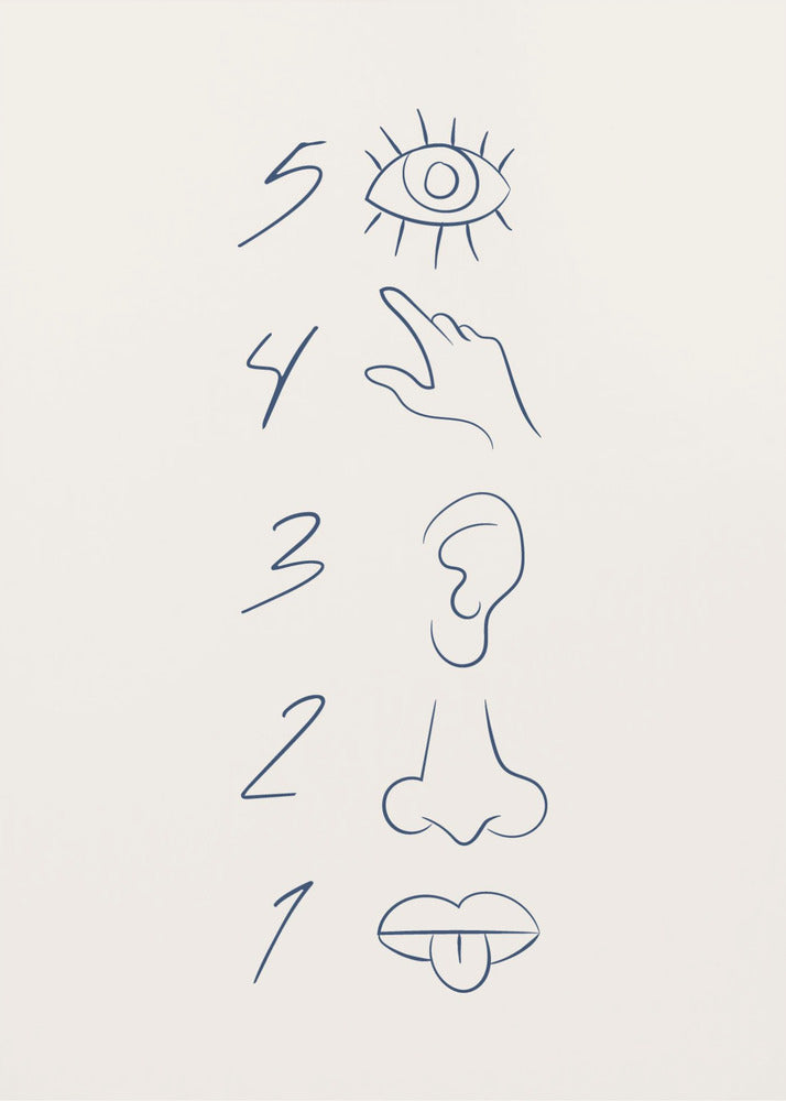 A minimalist line drawing in a black frame, featuring the numbers 5 through 1 in a vertical column. Beside each number is a corresponding sense organ: an eye for 5 (sight), a hand for 4 (touch), an ear for 3 (hearing), a nose for 2 (smell), and a mouth with a tongue out for 1 (taste). The art is drawn in dark blue on an off-white background. Artwork
