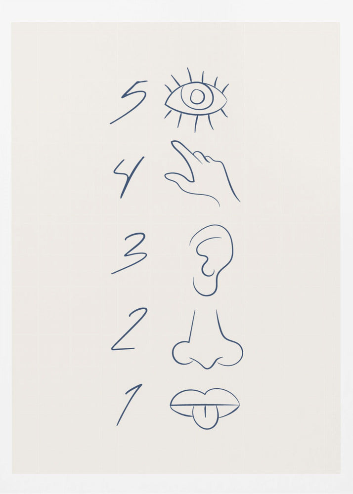 A minimalist line drawing in a black frame, featuring the numbers 5 through 1 in a vertical column. Beside each number is a corresponding sense organ: an eye for 5 (sight), a hand for 4 (touch), an ear for 3 (hearing), a nose for 2 (smell), and a mouth with a tongue out for 1 (taste). The art is drawn in dark blue on an off-white background. Artwork