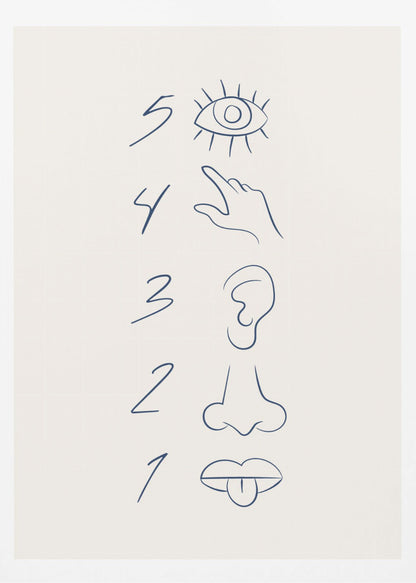 A minimalist line drawing in a black frame, featuring the numbers 5 through 1 in a vertical column. Beside each number is a corresponding sense organ: an eye for 5 (sight), a hand for 4 (touch), an ear for 3 (hearing), a nose for 2 (smell), and a mouth with a tongue out for 1 (taste). The art is drawn in dark blue on an off-white background. Artwork
