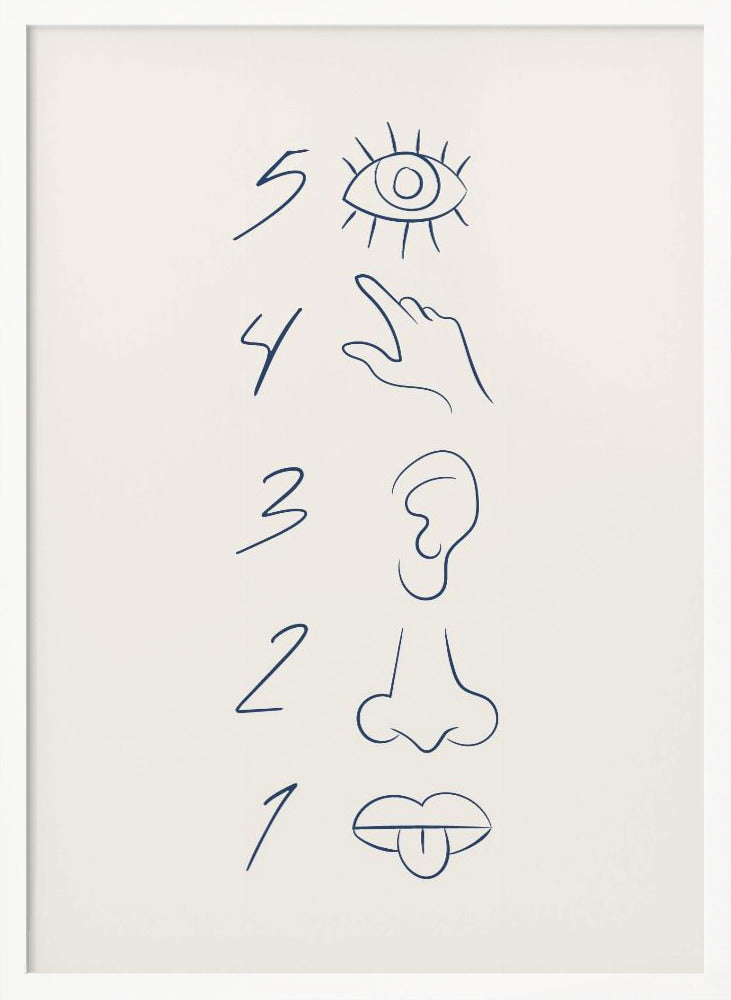 A minimalist line drawing in a black frame, featuring the numbers 5 through 1 in a vertical column. Beside each number is a corresponding sense organ: an eye for 5 (sight), a hand for 4 (touch), an ear for 3 (hearing), a nose for 2 (smell), and a mouth with a tongue out for 1 (taste). The art is drawn in dark blue on an off-white background. Artwork