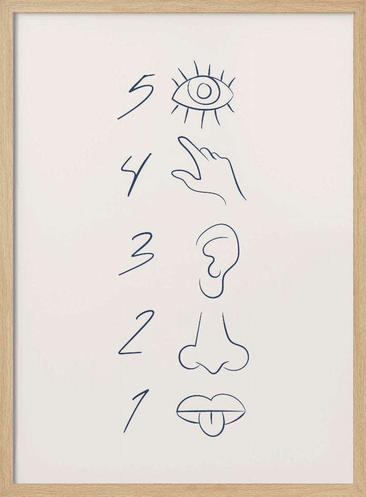 A minimalist line drawing in a black frame, featuring the numbers 5 through 1 in a vertical column. Beside each number is a corresponding sense organ: an eye for 5 (sight), a hand for 4 (touch), an ear for 3 (hearing), a nose for 2 (smell), and a mouth with a tongue out for 1 (taste). The art is drawn in dark blue on an off-white background. Artwork
