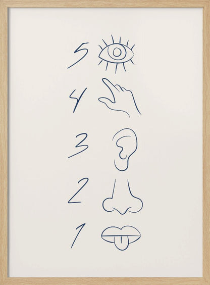 A minimalist line drawing in a black frame, featuring the numbers 5 through 1 in a vertical column. Beside each number is a corresponding sense organ: an eye for 5 (sight), a hand for 4 (touch), an ear for 3 (hearing), a nose for 2 (smell), and a mouth with a tongue out for 1 (taste). The art is drawn in dark blue on an off-white background. Artwork