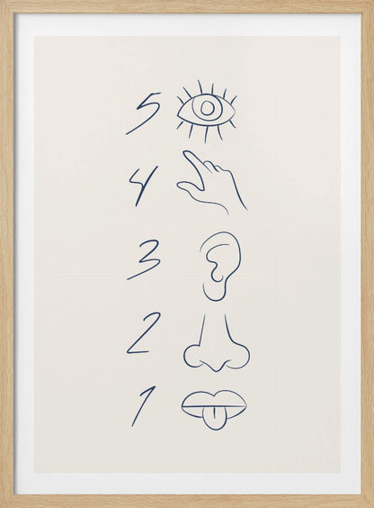 A minimalist line drawing in a black frame, featuring the numbers 5 through 1 in a vertical column. Beside each number is a corresponding sense organ: an eye for 5 (sight), a hand for 4 (touch), an ear for 3 (hearing), a nose for 2 (smell), and a mouth with a tongue out for 1 (taste). The art is drawn in dark blue on an off-white background. Artwork