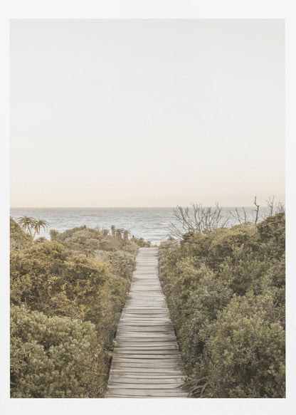 A vertical photograph of a weathered wooden boardwalk leading through dense coastal greenery towards the ocean under a pale, hazy sky, framed in black. Wall Art