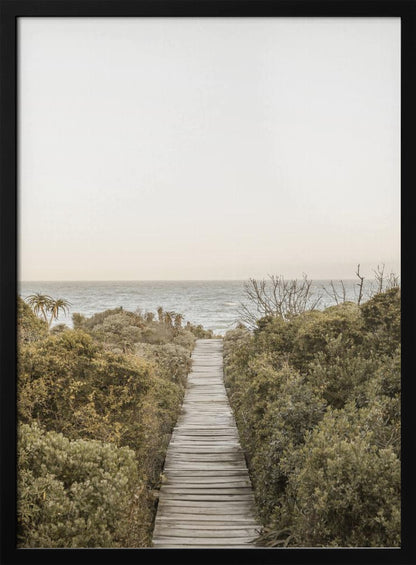 A vertical photograph of a weathered wooden boardwalk leading through dense coastal greenery towards the ocean under a pale, hazy sky, framed in black. Wall Art