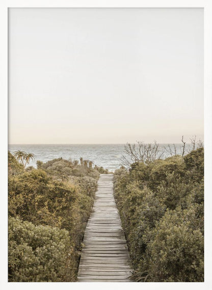 A vertical photograph of a weathered wooden boardwalk leading through dense coastal greenery towards the ocean under a pale, hazy sky, framed in black. Wall Art