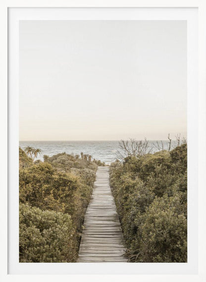 A vertical photograph of a weathered wooden boardwalk leading through dense coastal greenery towards the ocean under a pale, hazy sky, framed in black. Wall Art