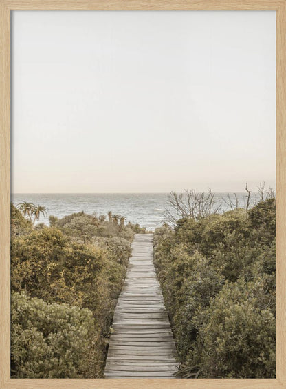 A vertical photograph of a weathered wooden boardwalk leading through dense coastal greenery towards the ocean under a pale, hazy sky, framed in black. Wall Art