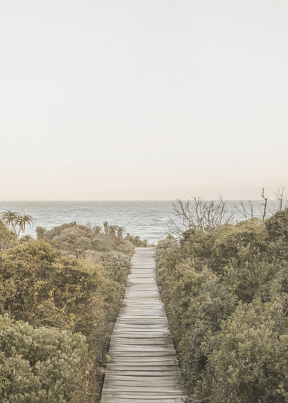 A vertical photograph of a weathered wooden boardwalk leading through dense coastal greenery towards the ocean under a pale, hazy sky, framed in black. Wall Art
