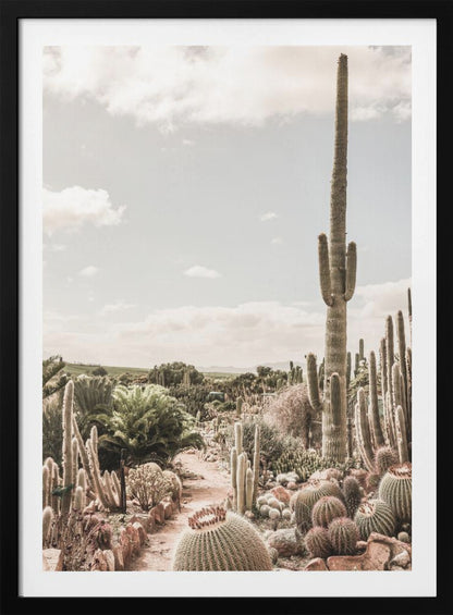 A vertical photograph of a dense cactus garden under a pale, partly cloudy sky. A tall saguaro cactus dominates the right side of the frame, while a dirt path winds through various species of cacti, including barrel cacti in the foreground. The image has a soft, muted, and slightly vintage color palette. Decor