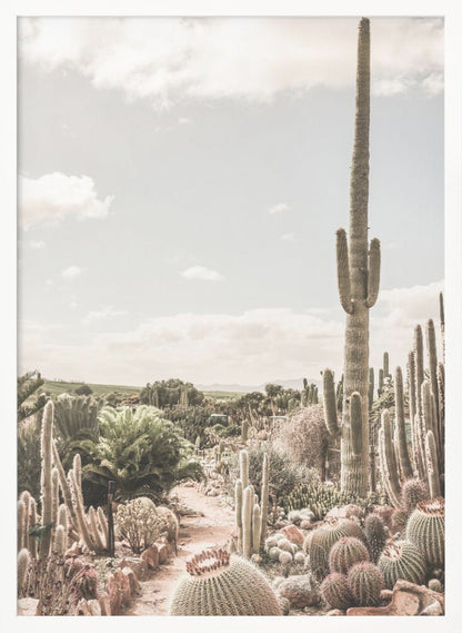 A vertical photograph of a dense cactus garden under a pale, partly cloudy sky. A tall saguaro cactus dominates the right side of the frame, while a dirt path winds through various species of cacti, including barrel cacti in the foreground. The image has a soft, muted, and slightly vintage color palette. Decor