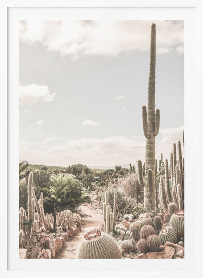 A vertical photograph of a dense cactus garden under a pale, partly cloudy sky. A tall saguaro cactus dominates the right side of the frame, while a dirt path winds through various species of cacti, including barrel cacti in the foreground. The image has a soft, muted, and slightly vintage color palette. Decor