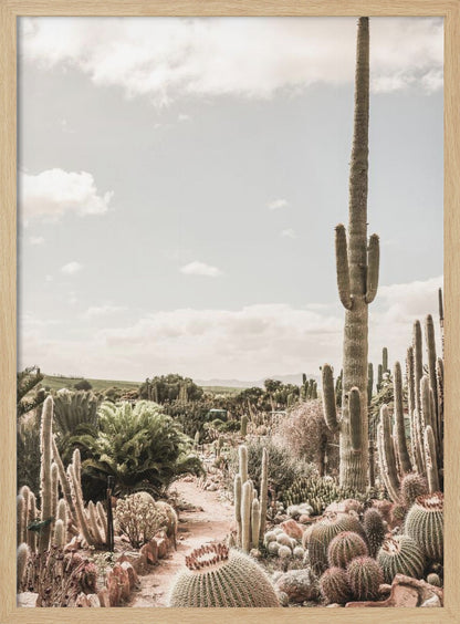 A vertical photograph of a dense cactus garden under a pale, partly cloudy sky. A tall saguaro cactus dominates the right side of the frame, while a dirt path winds through various species of cacti, including barrel cacti in the foreground. The image has a soft, muted, and slightly vintage color palette. Decor
