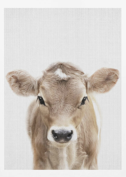 A close-up portrait of a light brown baby cow looking directly at the camera against a stark white background, enclosed in a simple black frame. Artwork