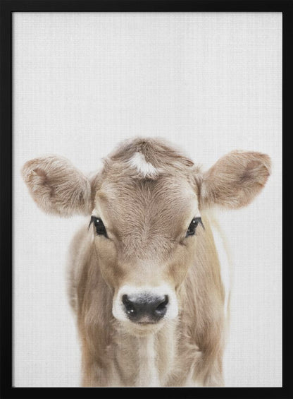 A close-up portrait of a light brown baby cow looking directly at the camera against a stark white background, enclosed in a simple black frame. Artwork