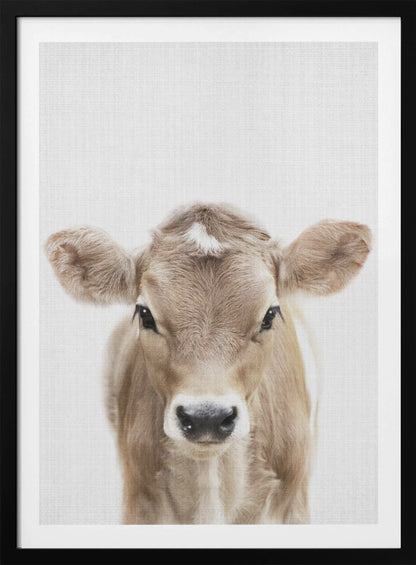 A close-up portrait of a light brown baby cow looking directly at the camera against a stark white background, enclosed in a simple black frame. Artwork