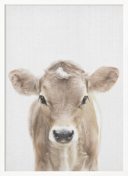 A close-up portrait of a light brown baby cow looking directly at the camera against a stark white background, enclosed in a simple black frame. Artwork