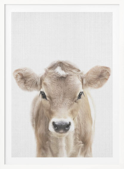 A close-up portrait of a light brown baby cow looking directly at the camera against a stark white background, enclosed in a simple black frame. Artwork